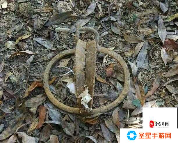 开火必看!Ded Hunge捕兽夹伤害实测,一招横扫野兽!