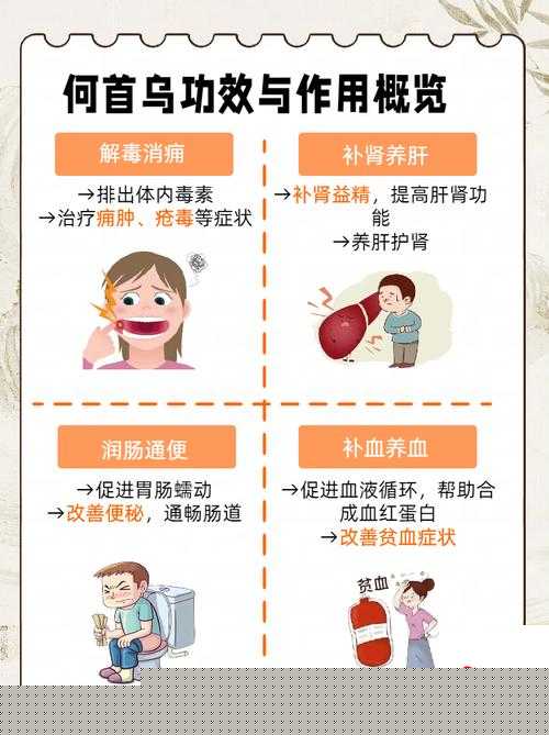 江湖悠悠何首乌神用法！秘方图解教程让你气血翻倍