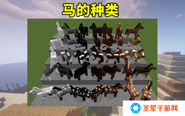 我的世界怎么驯服马