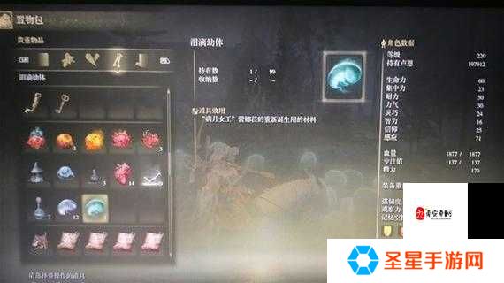 艾尔登法环DLC防具套装图鉴大全!爆肝整理必看,秒变战神_建议收藏