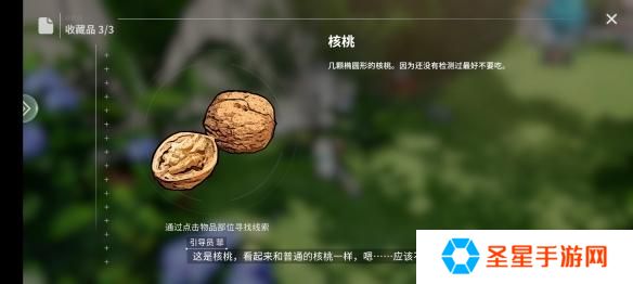 开放空间瓶中小径收藏品位置在哪
