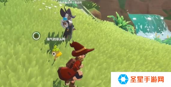洛克王国世界路边带精灵的魔法师在哪