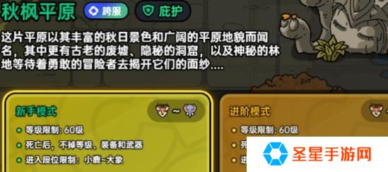 英勇之地狂猪族长在哪