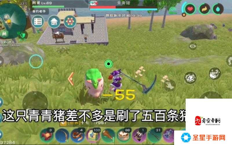 魔法世界必看!青青猪获取全攻略,手慢无!
