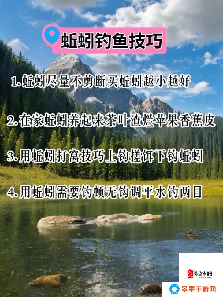 魔法鱼竿怎么用？爆钓大佬私藏3招，鱼儿疯狂上钩！