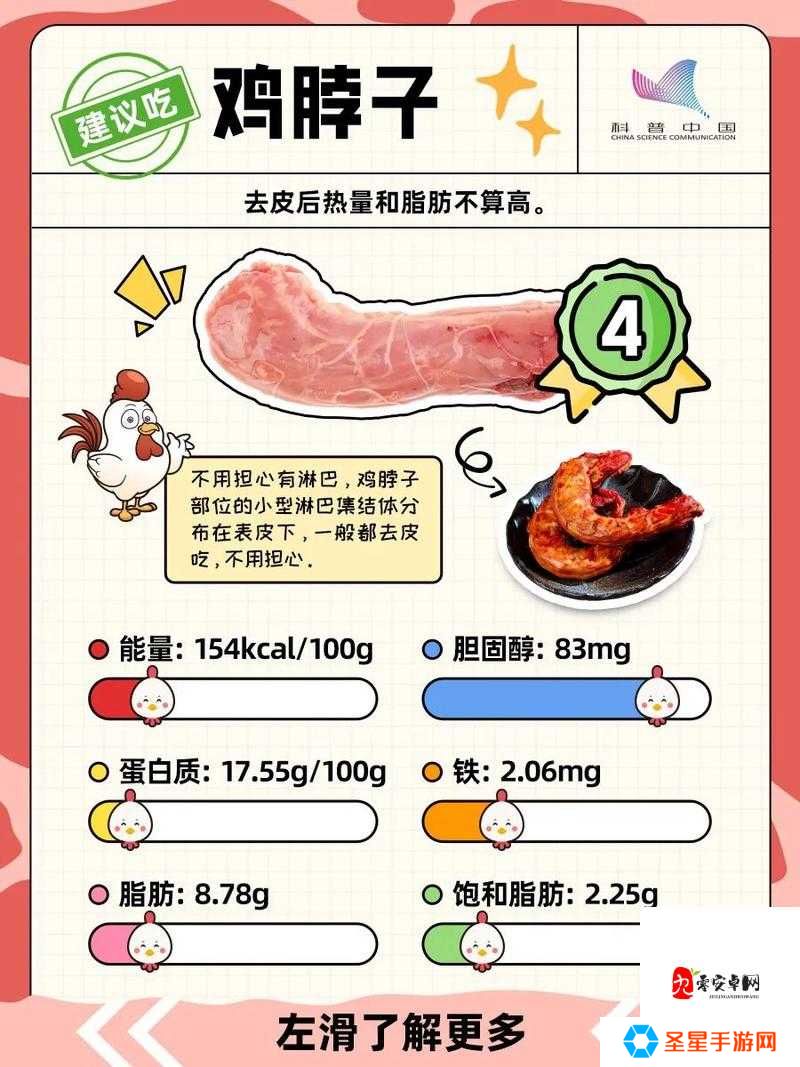 爆肝三天养鸡血泪史！萌新必看的鸡棚暴富指南