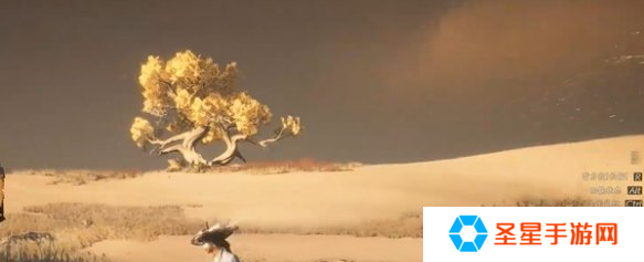 燕云十六声迷津渡天地万籁在哪