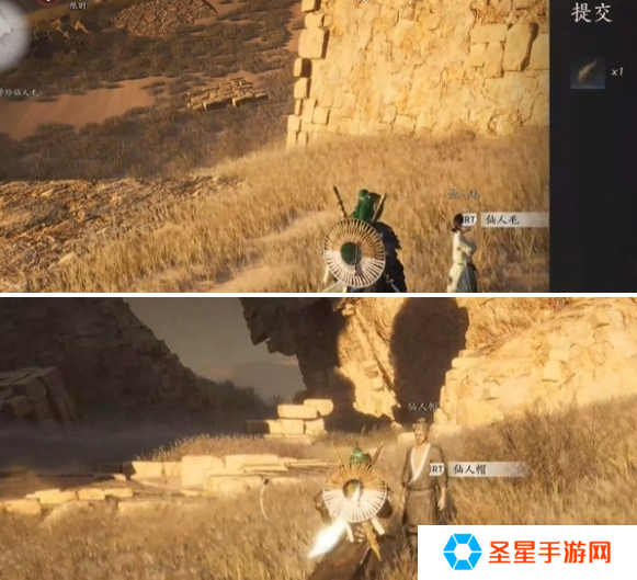 燕云十六声猫瘾患者奇遇怎么做