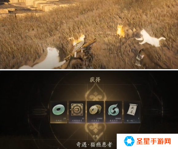 燕云十六声猫瘾患者奇遇怎么做