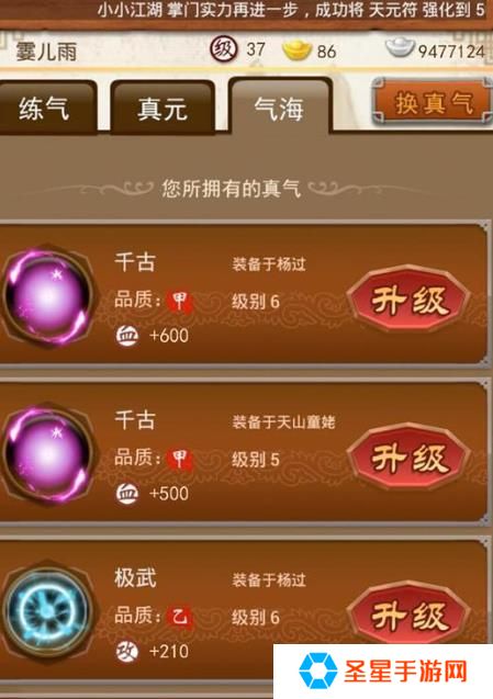 大掌门龙凤金环多少元宝出