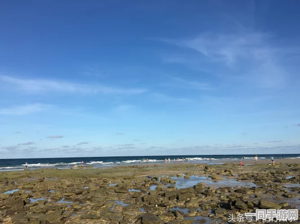 点点西游小米手游安卓APK盛大发布，引领全民共赴西游冒险新篇章