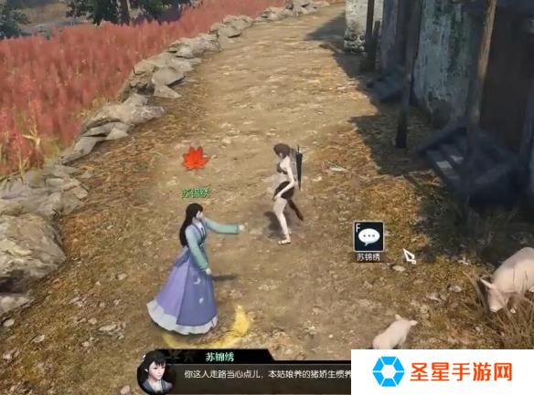 逆水寒手游猪猪迷踪奇遇怎么过