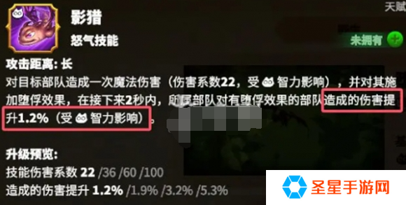 万龙觉醒贝特兰德宠物怎么选
