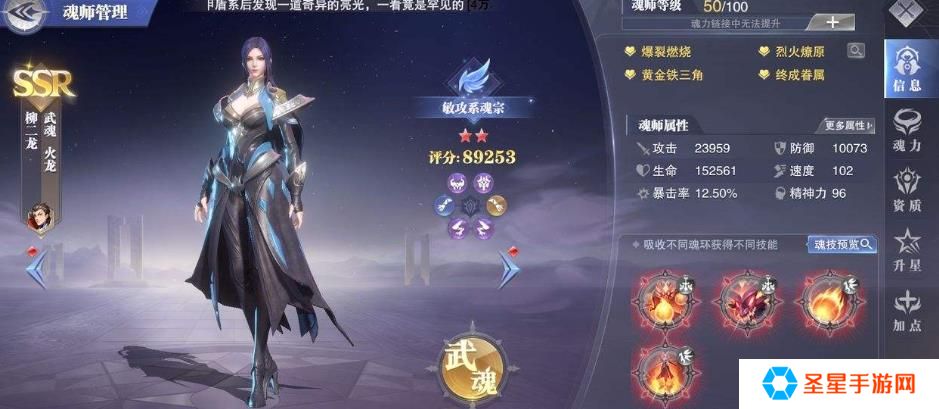 斗罗大陆柳二龙怎么搭配