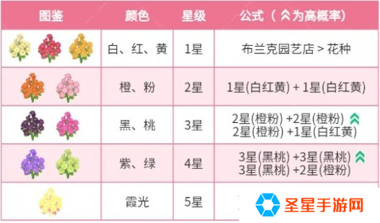 心动小镇迎春花杂交配方有哪些