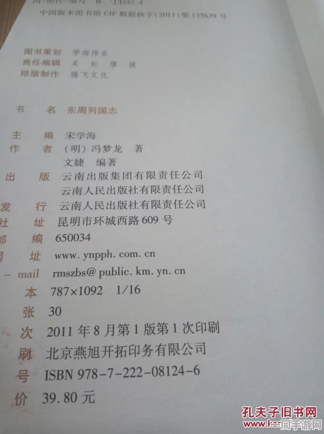 大周列国志深度剖析，群臣任命机制与策略智慧的奥秘