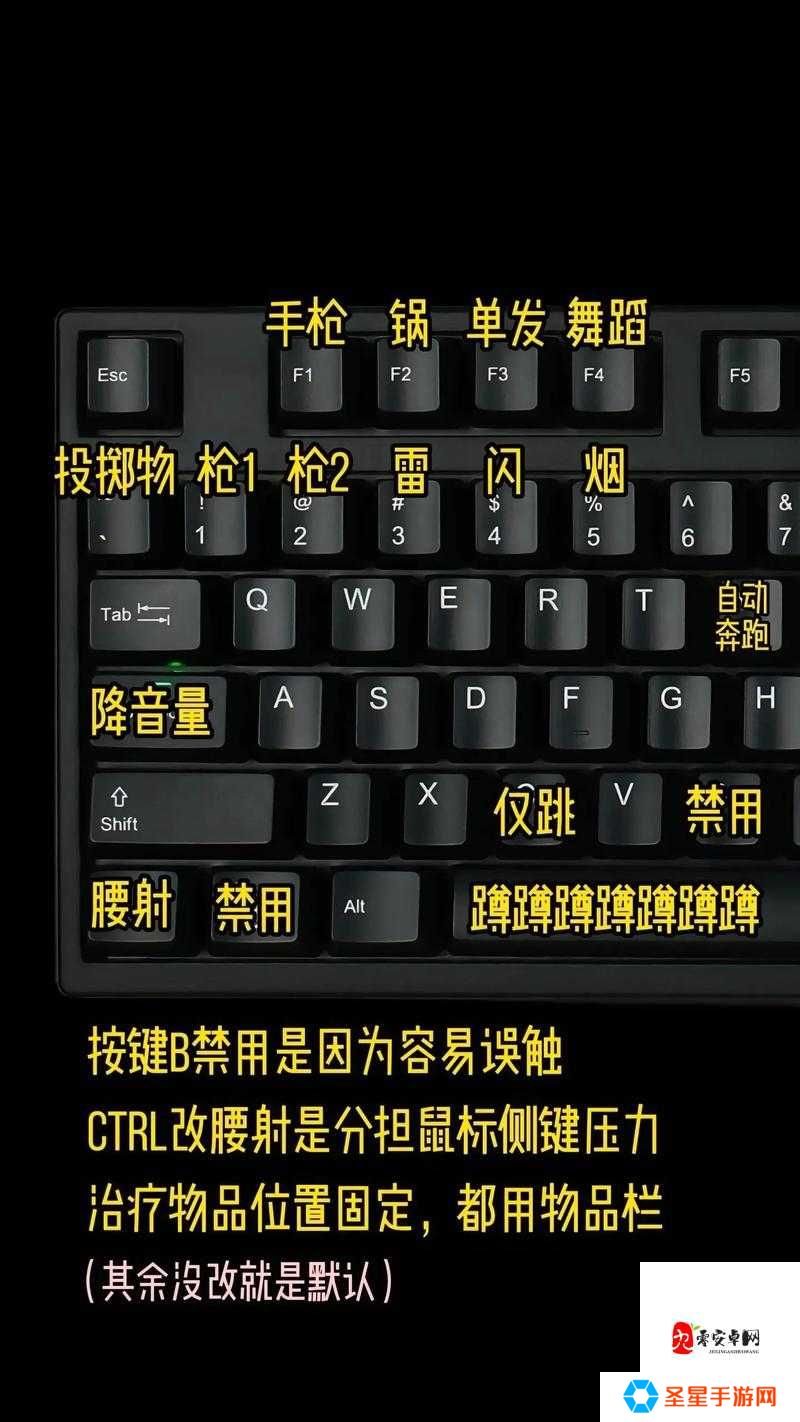 DyZ新手必看！这7个按键操作不会，根本玩不转独立版！