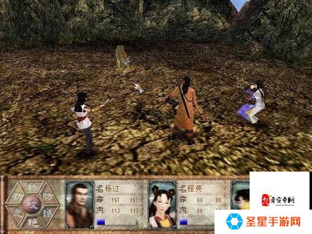 新神雕侠侣攻略秘籍大全！零基础速成大神保姆级教程