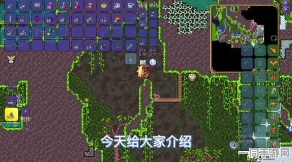 泰拉瑞亚探险全攻略，揭秘高效获取丛林孢子技巧，开启全新探险纪元