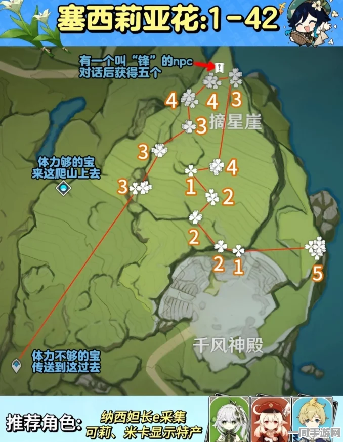 原神深度探索指南，全面揭秘塞西莉亚花36+采集地点与高效获取方法