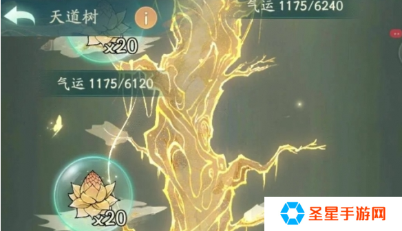 寻道大千天道树气运值怎么得