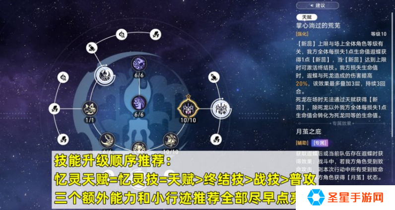 崩坏星穹铁道遐蝶行迹怎么加点