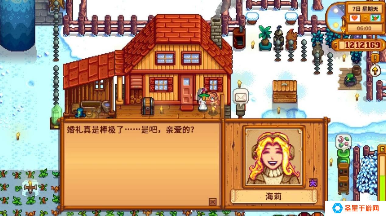 星露谷物语怎么跟海莉结婚