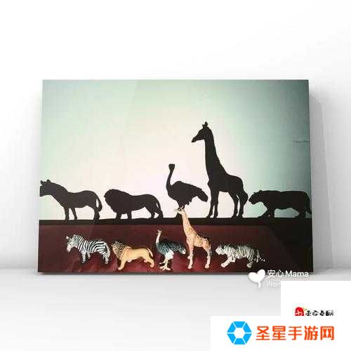 七色视频背后的秘密：一场跨越时空的光影游戏