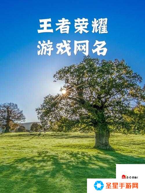 王者荣耀名字改成竖排有多酷？手把手教你变身游戏焦点！