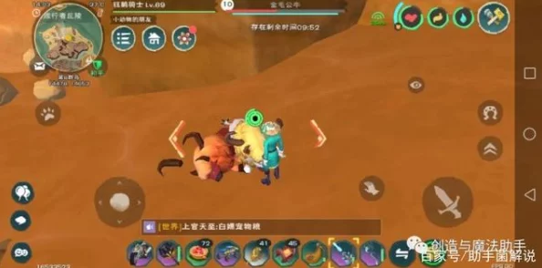 手游新星闪耀，深入剖析创造与魔法迷离虾王挑战赛，解锁36字以上未知神秘力量