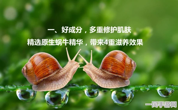 最强蜗牛意志结晶深度攻略，36字以上详解高效探索与实战必胜技巧