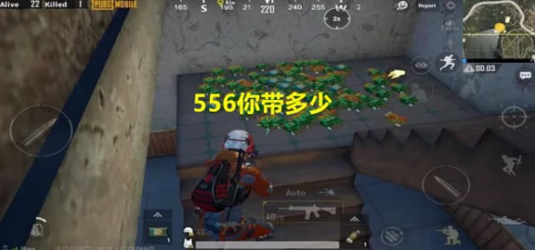 揭秘刺激战场新纪元，大厅界面设计的独特魅力与深层策略