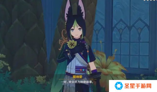 原神提纳里怎么养成