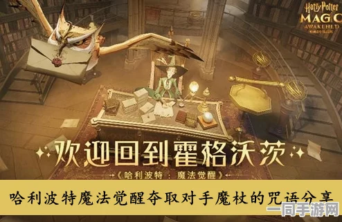 哈利波特，魔法觉醒大揭秘！决斗场中神秘咒语可夺敌魔杖