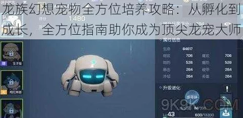 龙族幻想80级宠物精选指南，全面解锁战斗与养成新高度攻略