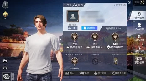 和平精英设备脸验证，深入探究自动消失时间之谜