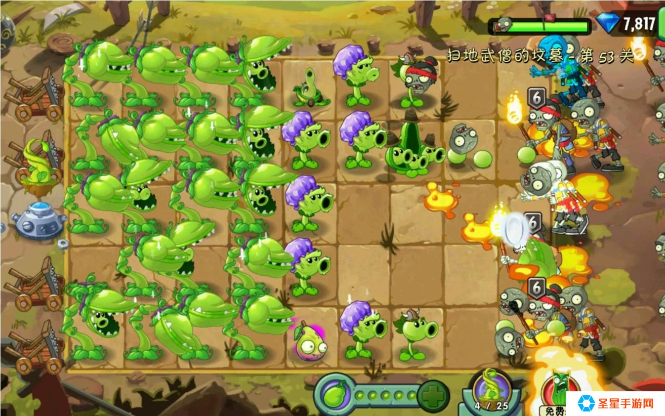 植物大战僵尸2打无尽需要培养什么植物
