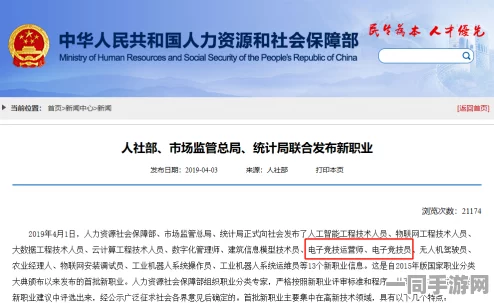 游戏职业技能认定平台，电子证书查询全攻略，轻松解锁游戏高手官方认证