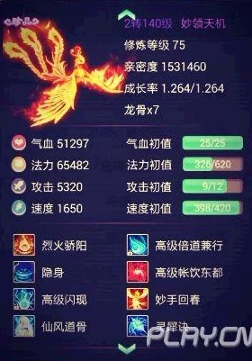 大话西游手游凤凰角色深度解析，技能属性、搭配秘籍全攻略，开启战斗新纪元